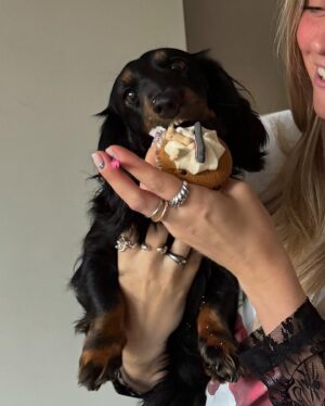 Marije Zuurveld Instagram - 26✨ 

(Elmo kwam alleen voor de taart)