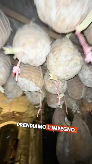 Marisa Passera Instagram - Una serata in onore di sua maestà il culatello, insieme al culatello di sua maestà ❤️ (e un pavone) 🦚✨🌙