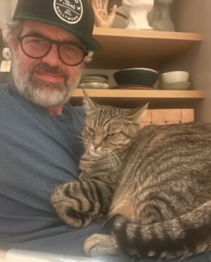 Mark Ruffalo Instagram - Celebrating #InternationalCatDay in style 🐱