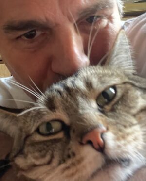 Mark Ruffalo Instagram - Celebrating #InternationalCatDay in style 🐱