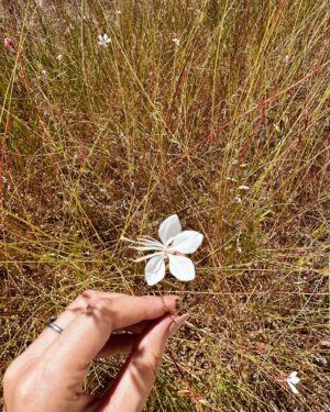 Marta Melro Instagram - Quando inspiras os últimos momentos,
 sem vontade de partir !🌾

#escape #nature #family #alentejo #petfriendly #blackbird #samsonite #mysamsonite 
@samsonite_pt @sobreiras_hotel @unlock_boutiquehotels