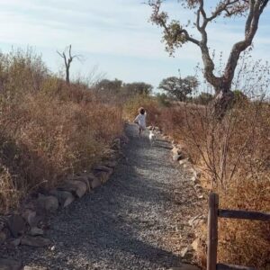 Marta Melro Instagram - Quando inspiras os últimos momentos,
 sem vontade de partir !🌾

#escape #nature #family #alentejo #petfriendly #blackbird #samsonite #mysamsonite 
@samsonite_pt @sobreiras_hotel @unlock_boutiquehotels