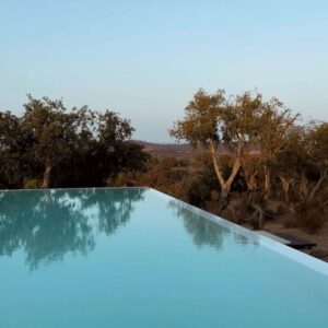 Marta Melro Instagram - Quando inspiras os últimos momentos,
 sem vontade de partir !🌾

#escape #nature #family #alentejo #petfriendly #blackbird #samsonite #mysamsonite 
@samsonite_pt @sobreiras_hotel @unlock_boutiquehotels