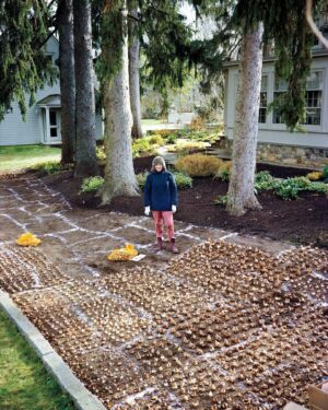 Martha Stewart Instagram - When Martha was four years old, her father handed her a screwdriver and showed her how to wiggle it between the cracks of a cobblestone path in their Nutley, N.J., yard to dig out a weed. Within a few hours, she'd cleared the whole path, and discovered a lifelong passion for gardening. Since then, she has filled acres of landscape with everything from colorful perennial borders and fruit trees to thriving rose bushes and an allée of boxwoods. At the link in our bio, she walks us through four of her homes—past and present—that have shaped her as a gardener, and shares the decisions and details that make each one spectacular. 📷: 1: @freemanstudio 2: @zeschin 3: @hughstewart_ 4: @victorschrager 5: @johndolanphotog 6: @pieterestersohnphoto 7: Richard Felber