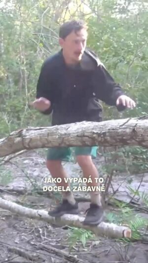 Martin Mikyska Instagram - Surfovací trenažér - SURVIVOR EDITION 🤙
