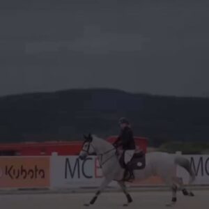Martin Zounar Instagram - Jsem pyšný taťula 👍👏👏👏🐴jde jim to , Je to pecka že ji to bavi a naplňuje .Diky❤️❤️