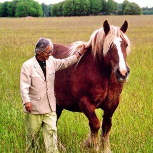 Masanori Hata Instagram - こちらもスウェーデンでであった美しいお馬さん🐎大きな動物がたまらなく大好きなムツさん、３枚目は目尻がさがっちゃってます笑 #ムツゴロウの656 #むつごろうさん #はたまさのり #zoologist #writer #horse