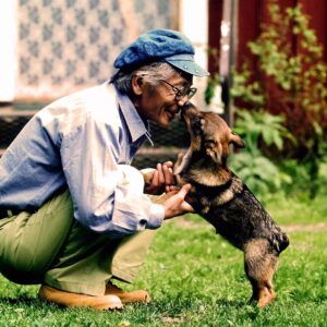 Masanori Hata Instagram - スウェーデンで出会ったヴァルフント🐾古くから農家を助けて牛追いを手伝っている犬種だそうです。ムツさんとコミニュケーションをとっている仔を見てもちゃんと人の言うことを聞こうとしている姿勢がつたわってきます。賢いんですね！世界で出会った犬友だちシリーズです😆🌎️ #ムツゴロウの656 #はたまさのり #むつごろうさん #zoologist #writer #friendofanimals  #sweden
