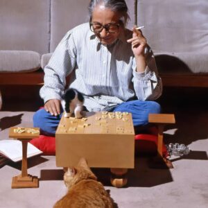 Masanori Hata Instagram - ネコたちとムツさんの穏やかな日常🐾将棋のお相手はチャトラン？ムツさん、劣勢でしたが子猫が乱入してきて、勝負の行方はわからなくなりました笑
#ムツゴロウの656 #はたまさのり #むつごろうさん #zoologist #friendofanimals  #ねこ