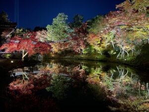 Masi Oka Instagram - 夜の紅葉
Kyoto foliage at night time.
Please come visit Japan when it opens up again.

Beautiful sights, food, culture, and people.

#高台寺
#京都
#Kodaiji
#Kyoto