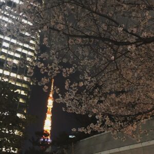 Masi Oka Instagram - Back in Japan during my favorite time of year!
#sakura
#cherryblossoms 
#桜
