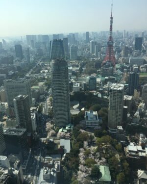Masi Oka Instagram - My favorite time of the year.  Cherry Blossoms and Tokyo! #sakura