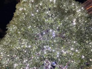 Masi Oka Instagram - Christmas time in Tokyo

#六本木イルミネーション