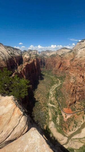 Matheus Fagundes Instagram - make sure you are living and not surviving 

#hike #camping #zion #zionnationalpark #adventure