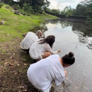 Matías De Stefano Instagram - - NODO SEYCHELLES -

Anclar los cristales allí tiene como intención reconectar ese aspecto dañado en nuestro interior, que es nuestra conexión directa con Dios sin intermediarios. Saber que la pureza de lo más alto en los cielos sólo ha llegado allí por la fuerza más profunda del interior de la Tierra.

Por ello, conecta con Seychelles, y vuelve a oír la voy de Ahura Mazda, creador de los creadores, pero esta vez, pon la intención de oírle con la voz de tu consciencia.

Gracias a @gabiksz Yolanda Roxbourgh y Vito Balzano por entregar los cristales en nombre de la Red.

♦️♦️

- SEYCHELLES NODE -

Anchoring the crystals there is intended to reconnect that damaged aspect within us, which is our direct connection with God without intermediaries. Know that the purity of the highest in the heavens has only reached there by the deepest force within the Earth.

Therefore, connect with Seychelles, and hear again the voice of Ahura Mazda, creator of creators, but this time, set the intention to hear him with the voice of your conscience.

Thanks to @gabiksz Yolanda Roxbourgh and Vito Balzano for delivering the crystals on behalf of the Network.