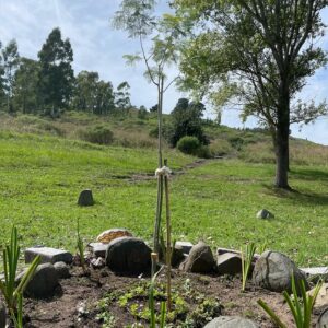 Matías De Stefano Instagram - 22.02.2024 - en conexión desde Tandil

Gracias a la Red por sostener y estar en conexión 
🌎♥️