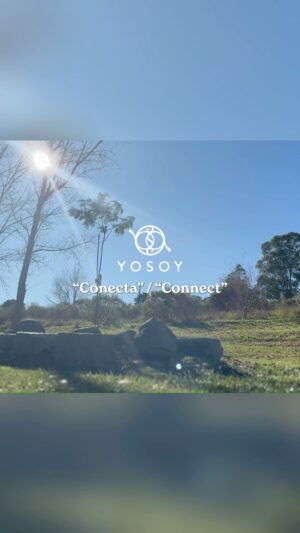 Matías De Stefano Instagram - On June 20th, we connect with the Solstice and the delivery of crystals through Art! 

The proposal is to listen and contemplate the song “Connect” in YouTube (link in bio)- with images of the Arbolito de Tandil (Argentina), each one from their own place, intending to connect with the sowing of the ovum-crystals that will be delivered at the Nodes of the Dodecahedron; charging with the sperm of Light during the delivery, and anchoring in the Womb of the Great Woman (Tandil), Gestating Mother of the New Humanity. 

We invite you to capture what each one receives in the form of any artistic expression (singing, dancing, writing, drawing, or painting) and join us by sharing your creations through an Instagram story. 

Tag us so we can share it on Instagram: @yosoy.red 

“Connect, with the Beat of your Heart” Thank you for Being Part
♦️
 ¡El 20 de Junio nos conectamos con el Solsticio y la entrega del los cristales a través del Arte! 

La propuesta es escuchar y contemplar el video que subimos a YouTube (link en bio) con imágenes del Arbolito de Tandil (Argentina), poniendo la intención, cada uno desde sus lugares, en conectar con la siembra de los óvulos-cristales que se entregarán en los Nodos del Dodecaedro; cargándose con los espermatozoides de Luz en la entrega, y anclándose en el Útero de la Gran Mujer (Tandil), Madre Gestadora de la Nueva Humanidad. 

Los invitamos a plasmar lo que cada uno reciba en forma de alguna expresión artística (canto, danza, escritura, dibujo o pintura) y a sumarse compartiendo sus creaciones a través de una historia de Instagram. 

Etiquétanos para poder compartir en el Instagram: @yosoy.red 

“Conecta, con el Latir de tu Corazón” 

Gracias por Ser Parte!