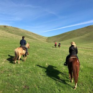Matt Letscher Instagram - Family cattle drive. Out and about with my beautiful beasts (and also some horses and cows.) Goodness.

#merrychristmas 
#horses 
#cows 
#family
#141