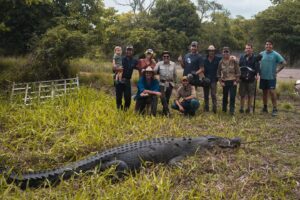 Matt Wright Instagram - Behind the scenes wrangling on @netflix Wild Croc Territory 🐊 with all the team @gshockoz @ariataus @otiseyewear @yokohamaaustralia @fordaustralia