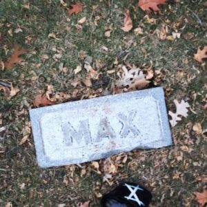 Max Malanaphy Instagram - or perhaps you HOPED