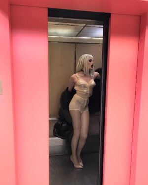 Max Malanaphy Instagram - harper's bizarre