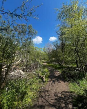 Maxim Hartman Instagram - Was gister dus anoniem in de Kennemer Duinen. Een kustnatuurgebied in Noord Holland. Geen grap. Echt Verbazingwekkend mooi. Foto 1 is nog wat agressief. Waarschijnlijk boswachter tegen burn out aan want het was nogal hoog water daar. Afijn 27 km gewandeld. Eenmaal op het strand aangelopen zag ik een kwal. Zie foto 7. Wanneer je nog veel meer kwallen wilt zien, moet je even naar het terras van strandtent Parnassius. Daar zitten er nog veel meer. En door. Foto 8 was enige echte minpuntje. Zie dat onsmakelijke schimmelschuim. Waarschijnlijk wat witte vloed uit de vagijnen van vrouwen in den overgang. Gelukkig maakten de wilde paardjes het weer goed. Jammer dat dat ene puberhengstje weer zo nadrukkelijk met zijn uit de kluiten gewassen paardenpikkie moest lopen pronken.  Natuurlijk is er een hoop mis in de wereld en met veel mensen ook. Maar gelukkig zijn er ook nog veel mooie fijne dingen te zien en te vinden. Dus focus je ook daar eens op. 💪🏻🔥💓
