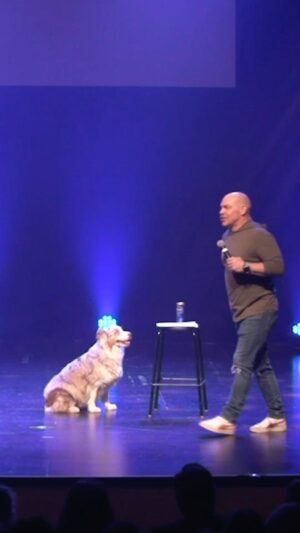 Maxim Martin Instagram - Quand Aura manipule le public.. #humour #standup #dogsofinstagram