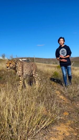 Maximilian Lee Piazza Instagram - Making new friends 🐆 in 🇿🇦

A special place run by special people 📍🦓 🐆 🦁 @cornellskop 

#wildlife #cheetah #animals #animalsanctuary #southafrica #video #reels