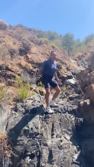 Mehmet Oz Instagram - Moving like an animal is good for your health, so when you have a moment to exercise, think like a bear or crab — be an animal! Sign up for my newsletter at the link in my bio to learn more.