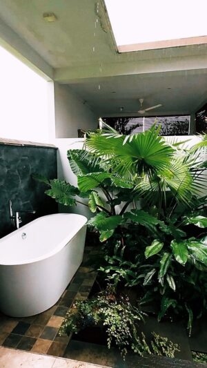 Melisa Akman Instagram - Inspired by Nature 🌿 • M A L I L U H A 🤍 @maliluhaswimwear