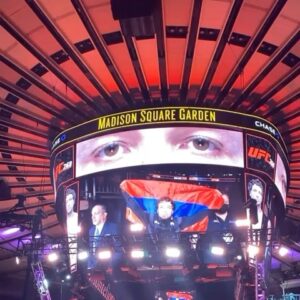 Melsik Baghdasaryan Instagram - Armenians stand up we are making history 🇦🇲❤️✊🏻
 #MelsikTheGun #ArmenianPride