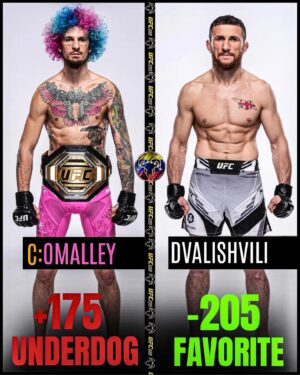 Merab Dvalishvili Instagram - I’M READY! 🦾 #ufcnoche🇲🇽