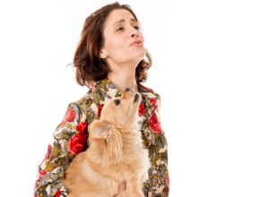 Mercedes Mason Instagram - Sometimes you have to howl at the moon. 

Thank you @charlienunnphotography for everything you do for rescue animals. Thank you @hitlivingfoundation and @wagsandwalks 
#rescuedontshop🐾