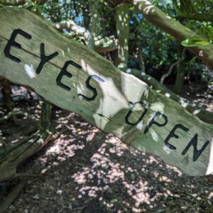 Merlin Griffiths Instagram - Perfect summer's day out at @hawkstoneparkfollies - it's beautiful, unusual and great for curious kids. 
#britishsummer #walk #countrywalks