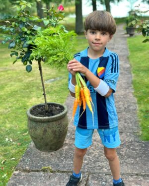 Micael Bindefeld Instagram - Fresh Homegrown Multi-Colored Carrots!
-
-
Swipe for 🥕🧑🏼‍🌾🥕
-
-
We’re harvesting almost every day now!
This morning Mimo picked some amazing carrots in our kitchen garden!!
-
-
#kitchengarden #köksträdgård #egenodlat #egenodlatärbäst #organiccarrots #egnamorötter #morötter #🥕 #aspvik 
-
-