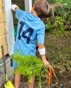 Micael Bindefeld Instagram - Fresh Homegrown Multi-Colored Carrots!
-
-
Swipe for 🥕🧑🏼‍🌾🥕
-
-
We’re harvesting almost every day now!
This morning Mimo picked some amazing carrots in our kitchen garden!!
-
-
#kitchengarden #köksträdgård #egenodlat #egenodlatärbäst #organiccarrots #egnamorötter #morötter #🥕 #aspvik 
-
-