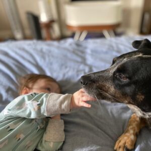 Michael Grant Terry Instagram - A few weeks ago we thought this little girl had sprained her ankle... turned out to be an aggressive form of soft tissue sarcoma. Today she will have her leg amputated. She’s been through a lot, as most rescues have, but I know she’s gonna fight hard and we are looking forward to many more days of fighting squirrels and snuggling with her sisters. ❤️ you Rio.