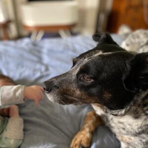 Michael Grant Terry Instagram - We lost this sweet girl today. She had a heart of gold and velvet ears and was the light of so many people’s lives. We will miss you, sweet Rio. We’re so happy you were in our lives. ❤️