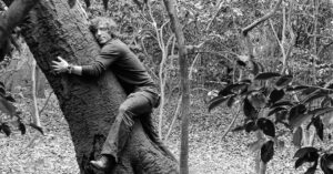 Michael Traynor Instagram - That was one helluva tree. #TBT