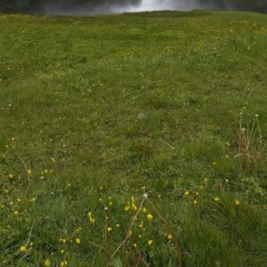 Michel Duval Instagram - Y si… se viene tremendo spam de Islandia 🇮🇸