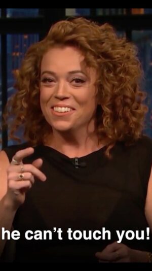 Michelle Wolf Instagram - #joebiden #jokeshow @latenightseth