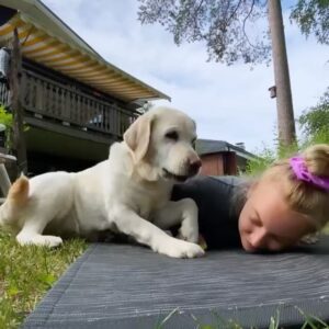 Miisa Rotola-Pukkila Instagram - Rakkain Dina, elämäni valo🤍🪽

25.4.2010-18.7.2024

Kyllä mä tiesin, että se päivä tulee olemaan edessä. Oon pelännyt sitä viimeiset pari vuotta. Oon hyvästellyt sut aina Keuruulta lähtiessä tiedostaen, että se voi olla vika kerta. Tiesin, että se päivä musertaisi mut täysin, koska meillä on aina ollut erityinen yhteys. Ollaan oltu parivaljakko. Lapsesta asti yhdessä. Puolet mun koko elämästä.

Tänä kesänä jo hetken luulin, että aiot elää ikuisesti, kun 14-vuotiaana koiravanhuksena suppailit mun kanssa mökillä ja nautit siitä silmin nähden. Oon niin onnellinen, että sait viettää elämäsi kesän lempipaikassasi mökillä ja me saatiin jakaa se vielä sun kanssa. Odotit aina aamiaispöydän vieressä kiivaasti silmiin tuijottaen, että saat tiskata meidän puurolautaset. Uitiin ja retkeiltiin. Paistettiin sulle aina oma makkaranpuolikas nuotiolla. Leikittiin sitä sun lempileikkiä, jossa yritän jahdata sua, mutta onnistumatta, koska ”Dikke on voittamaton”. 

Heinäkuun 18. se päivä koitti.
Päivä, jolloin elämäni valo muuttui tuikkivaksi tähdeksi taivaalle. Suru on edelleen niin pohjaton, että tuntuu, etten saa happea. 

Maailman rakkain Dina. Kiitos 14 yhteisestä vuodesta. Lepää rauhassa. Donna odottaa sua siellä.