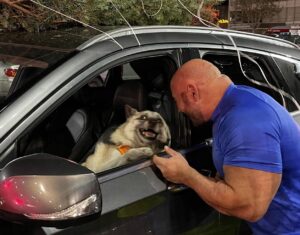 Mike Ergas Instagram - Mr Jay and @giorgibear helping me pick out a Christmas tree! #ilovechristmas #christmas #christmastree #treehunting #MrJaywasveryhelpful