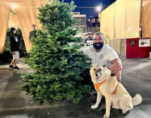 Mike Ergas Instagram - Mr Jay and @giorgibear helping me pick out a Christmas tree! #ilovechristmas #christmas #christmastree #treehunting #MrJaywasveryhelpful