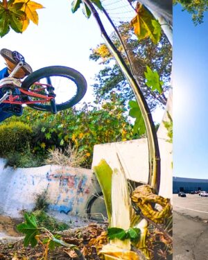 Mike Escamilla Instagram - Few hours out on Memorial with the old ball and chain @briancastillo … lots of laughs, lots of assuming we are gonna do more when we get there … #betheadventure #teambronco_ambassador @united_bmx @etniesbike