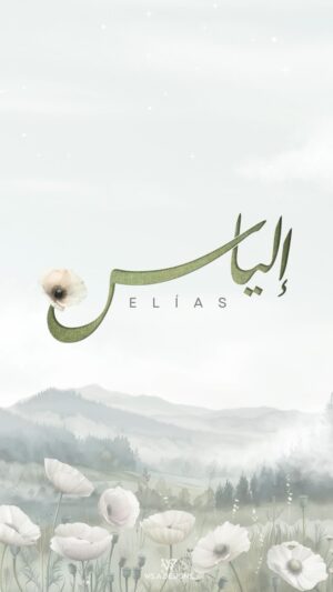 Mina Al Sheikhly Instagram - قلوبنا تفيض بالفرح ونحن نستقبل نورنا 
و روحنا و طفلنا الصغير - إلياس 🥹🤍

الحمد الله والشكر يا رب 
على اجمل هدية واجمل  نعمة 
ويا رب الله يطعم كل محروم 🤍

Our hearts overflow with joy as we welcome our light 
our soul and our little boy - Elias 🤍

#myhappymoments #minasjourney #mypregnancyjourney #ماما_مينا