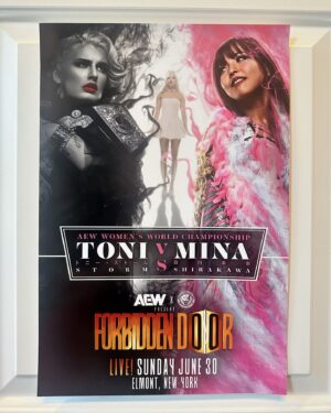 Mina Shirakawa Instagram - In the end, it all worked out for Mariah May 💋 

Matchup Monday - Toni Storm vs Mina Shirakawa - AEW x NJPW Forbidden Door 2024 Art Print - (Hand-Numbered 1-50) 🔗 Link In Bio