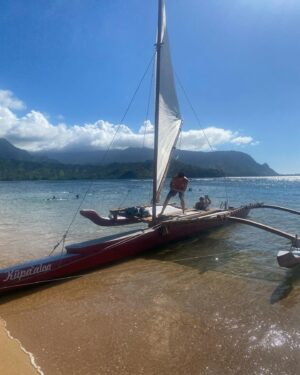 Mireille Enos Instagram - Thank you Kaua’i! Thank you 1 Hotel Hanalei Bay! We had the most magical time. 🩷🌸🌴☀️😘🩷 @1hotel.hanaleibay #alanruck
