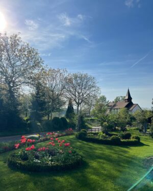 Miss Fame Instagram - Shrinking the depression monster one dandy lion at a time 🌻 #MissFame #countryside #Spring #TheWienas #Switzerland.
