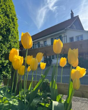 Miss Fame Instagram - Shrinking the depression monster one dandy lion at a time 🌻 #MissFame #countryside #Spring #TheWienas #Switzerland.